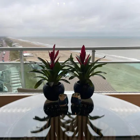 The Wave * Zandvoort